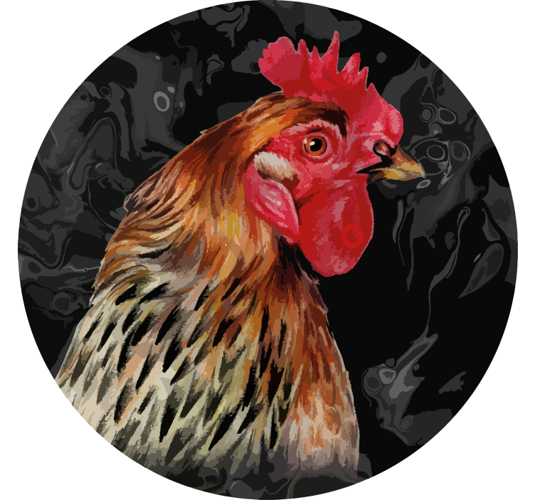 Multicolor rooster black background coaster - TenStickers