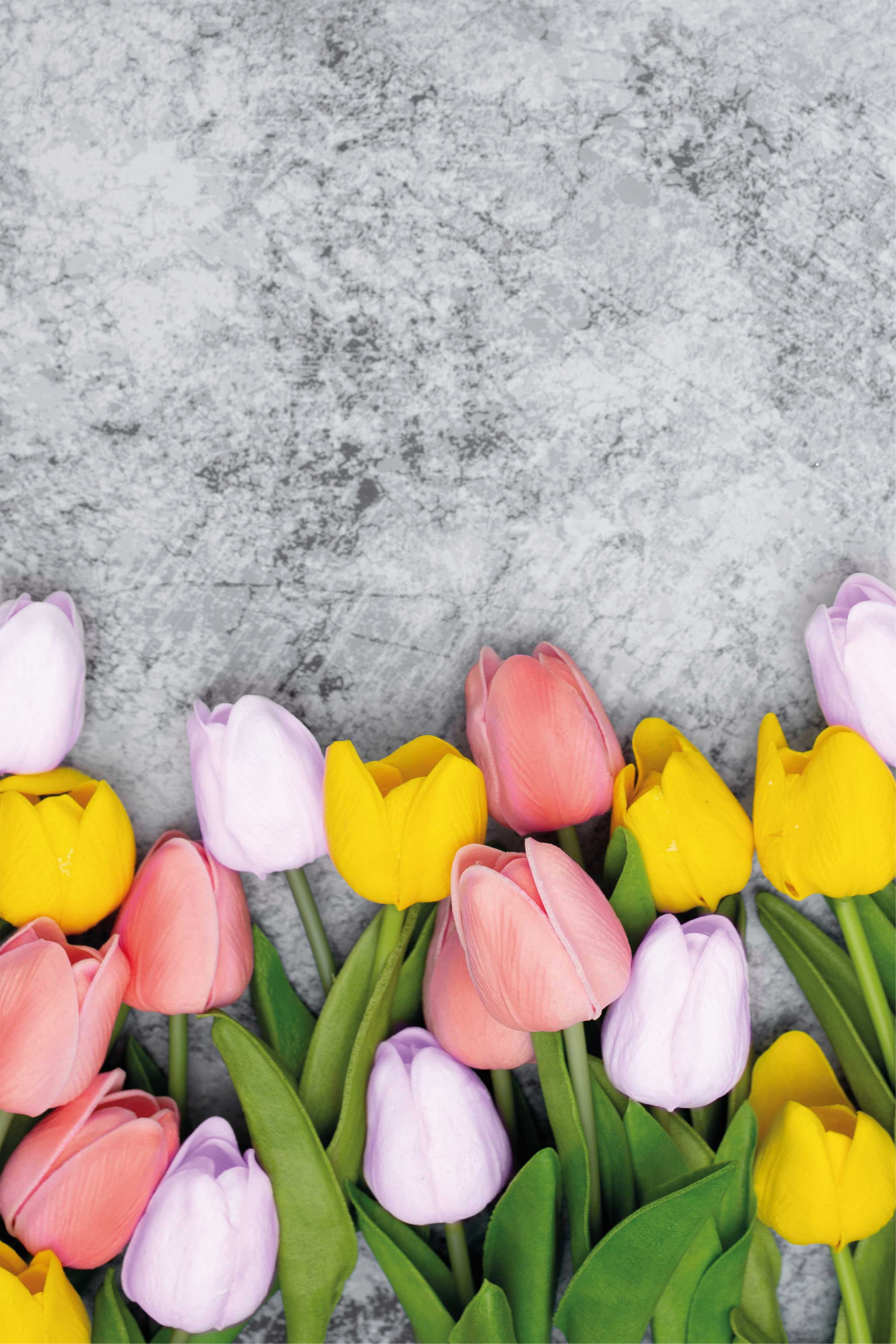 Kitchen poster of similar tulip flowers - TenStickers