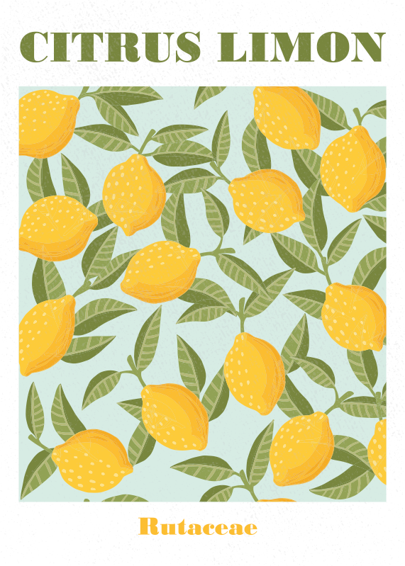 Lemon fruit poster prints - TenStickers