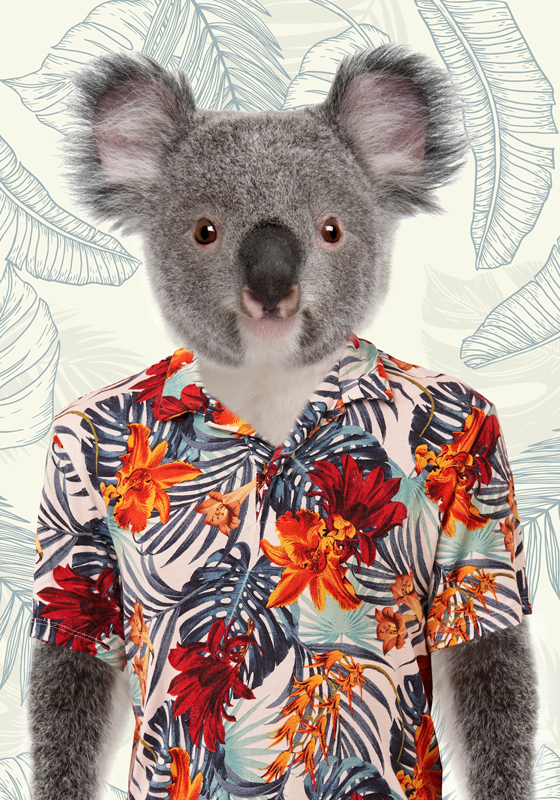 Elegant KoalaAn elegant koala with its soft fur and gentle eyes.  - TenStickers