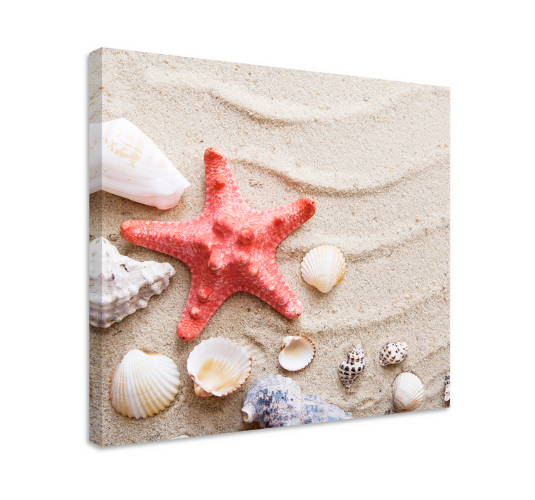 Starfish and shells on sand sea life canvas art - TenStickers