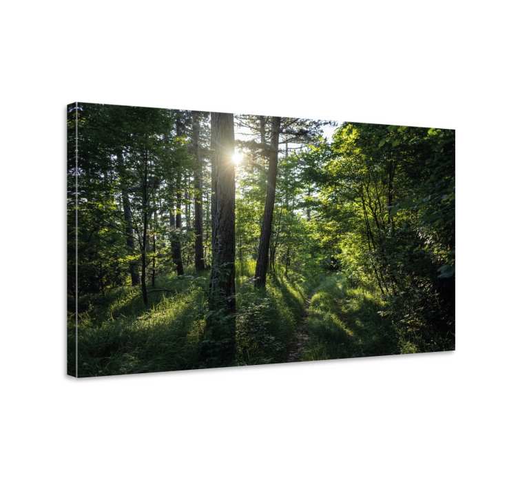 trees and green forest  Tree wall art canvas - TenStickers