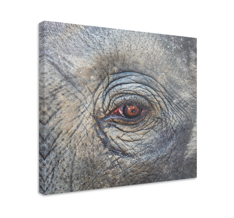 Elephant eye  close up canvas - TenStickers