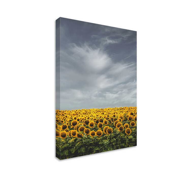 Flowers canvas sunflower field - TenStickers