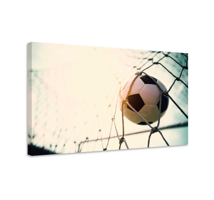 Football in net fish canvas - TenStickers