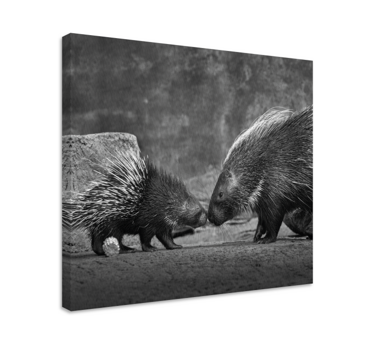 Animal canvas wall art porcupine encounter - TenStickers