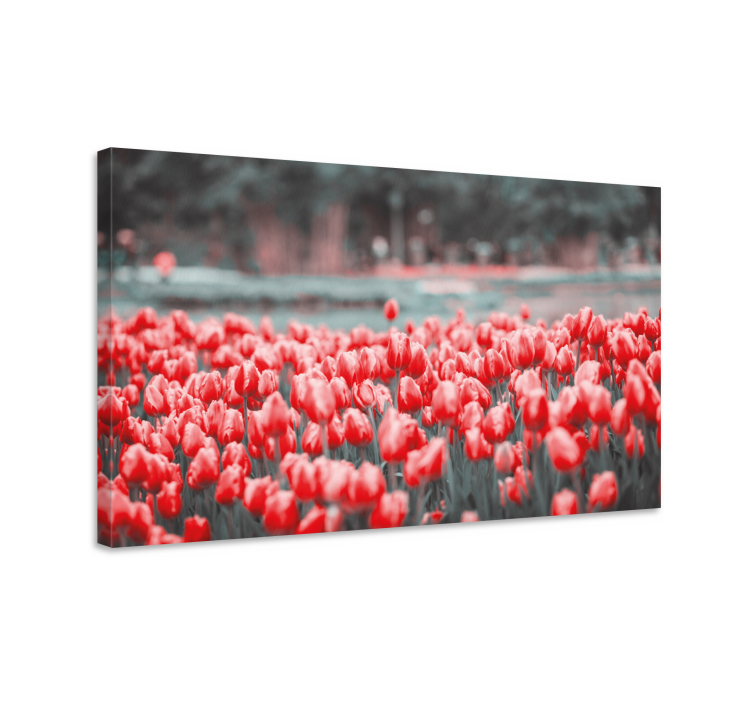 Flowers canvas vibrant tulip field - TenStickers