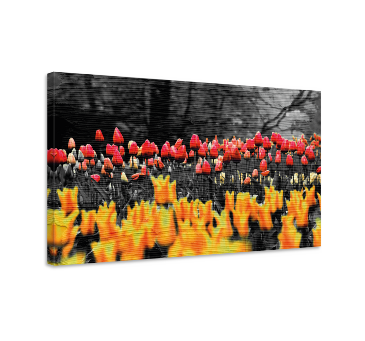 Flowers canvas colorful tulip garden artwork - TenStickers