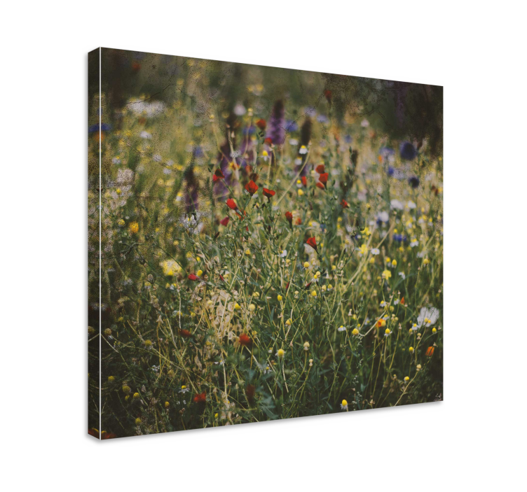 Wildflower meadow flowers canvas - TenStickers