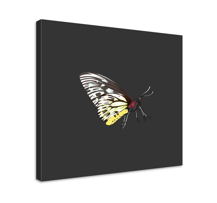 Realistic yellow butterfly canvas wall art - TenStickers