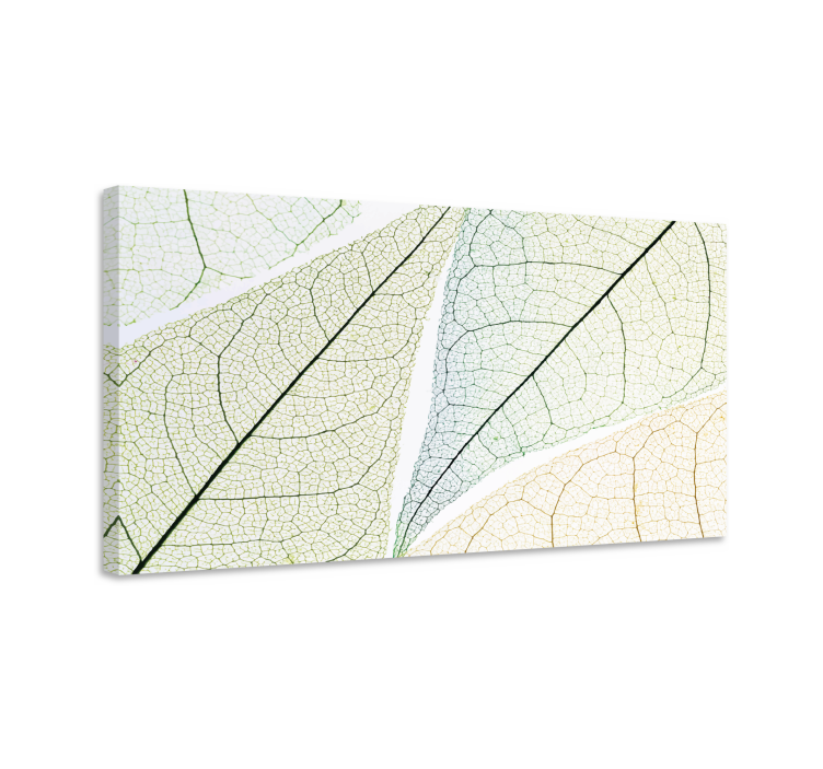 Colored transparent leaf Plant canvas prints - TenStickers