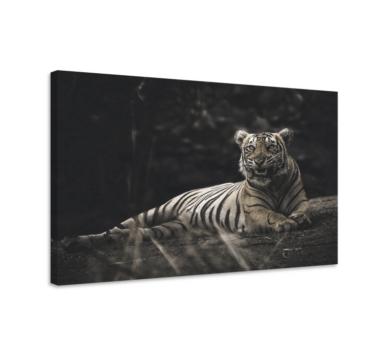 Tiger lied down animal canvas - TenStickers