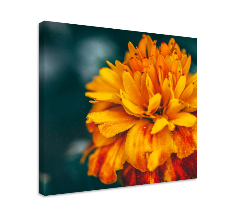 Flower canvas vibrant orange blossom art print - TenStickers