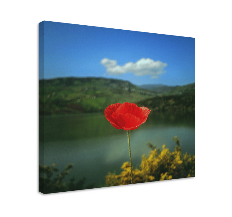 Flowers canvas red poppy blossom artwork - TenStickers
