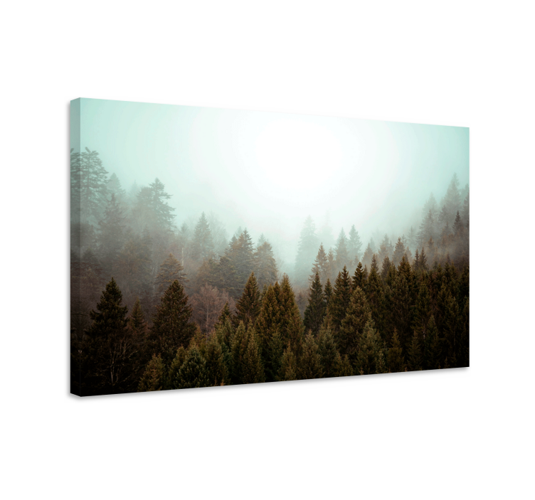 Conifers forest and fog  landscape canvas - TenStickers