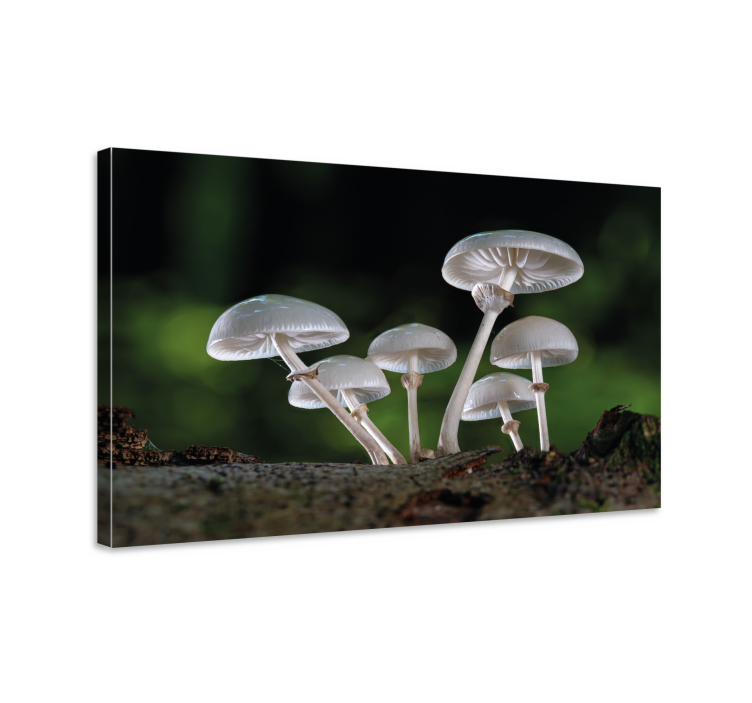 Flowers canvas mushroom forest landscape - TenStickers