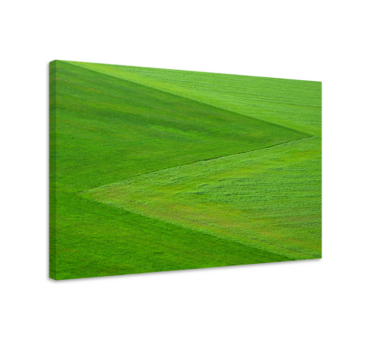Landscape canvas of lush green terrain - TenStickers