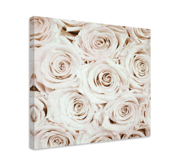 Flowers canvas gentle rose blossom art - TenStickers