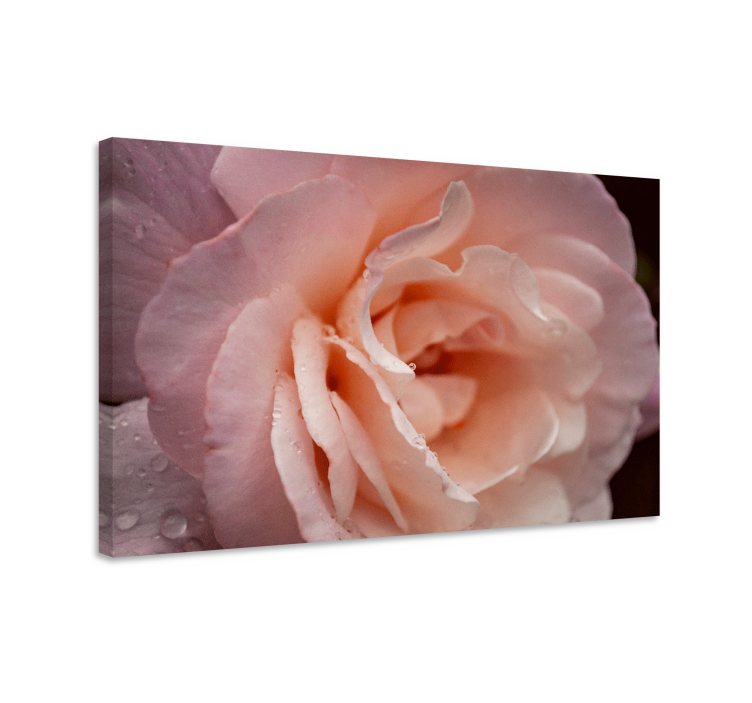 Elegant style rose water drops flower canvas - TenStickers
