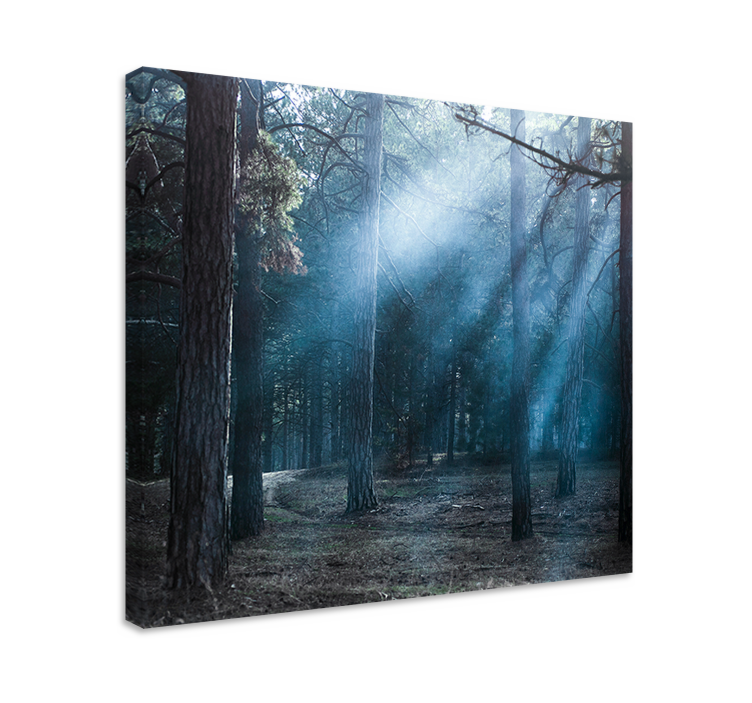 Hazy woodland trail landscape canvas - TenStickers