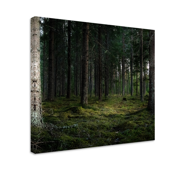 "Nature" trees in the forest Tree wall canvas - TenStickers