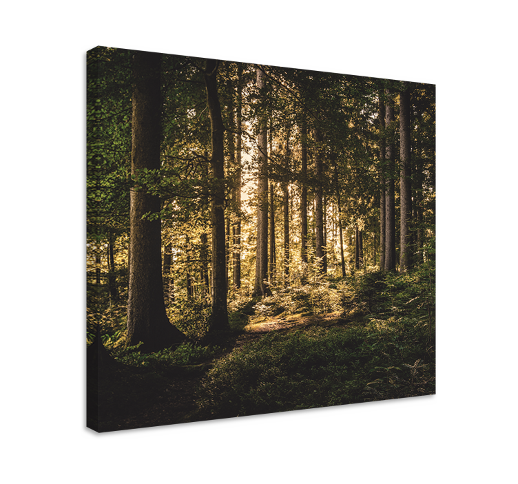 Luminous forest scenery landscape canvas - TenStickers