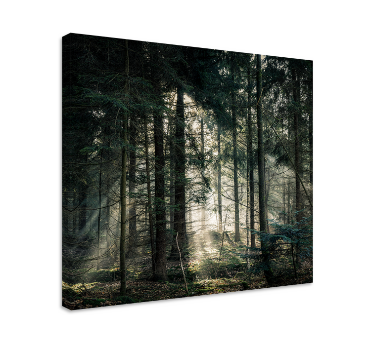 Landscape canvas sunbeams through foliage - TenStickers