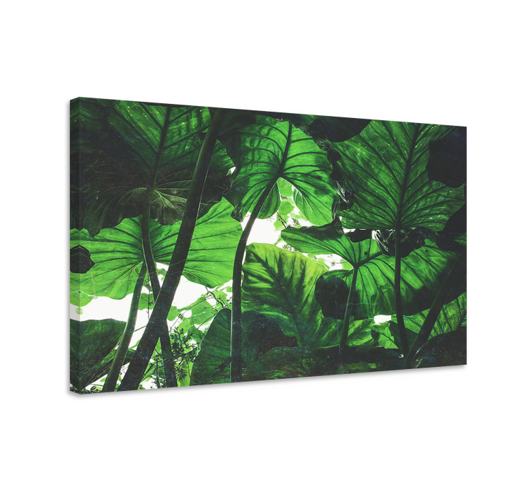 Flowers canvas tropical leaf canopy - TenStickers