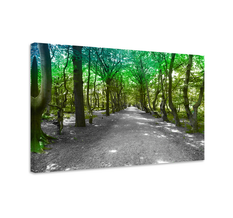 Verdant forest path tree canvas wall art - TenStickers