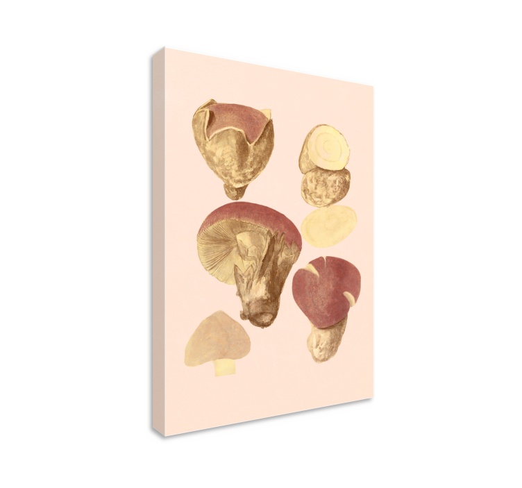Mushroom Collection Flowers  canvas - TenStickers