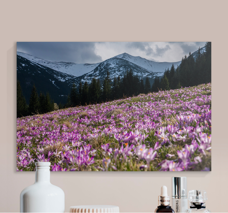 Beautiful meadow of crocus flower flower canvas - TenStickers