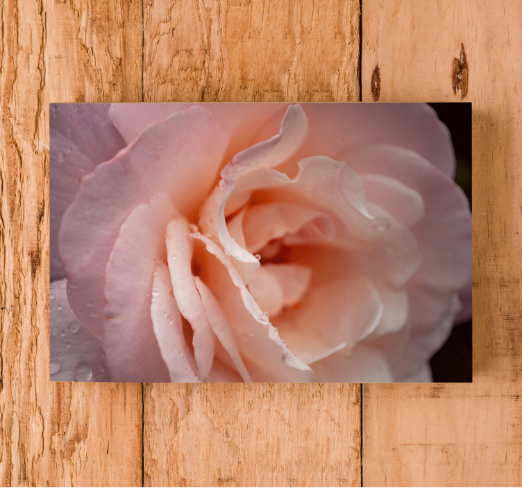 Elegant style rose water drops flower canvas - TenStickers