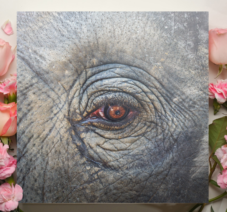 Elephant eye  close up canvas - TenStickers