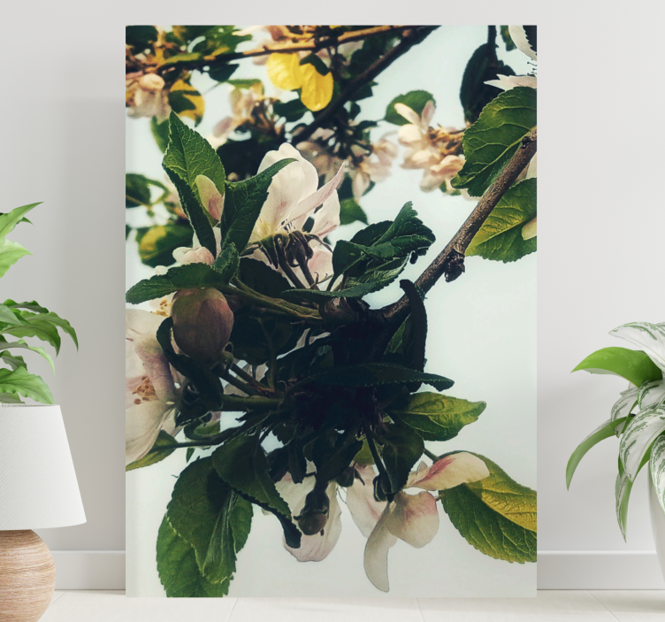 Flowers canvas blooming apple branch - TenStickers