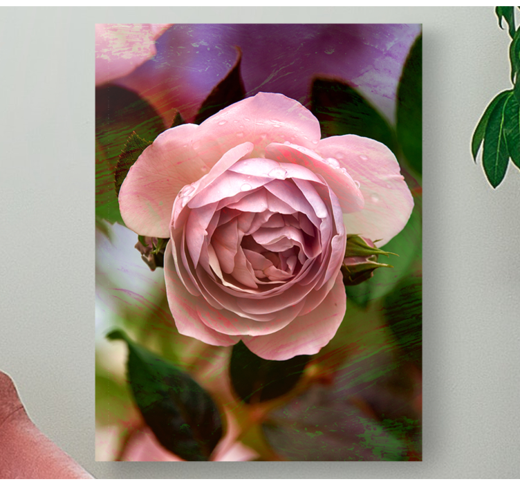 Flowers canvas pink rose bloom - TenStickers