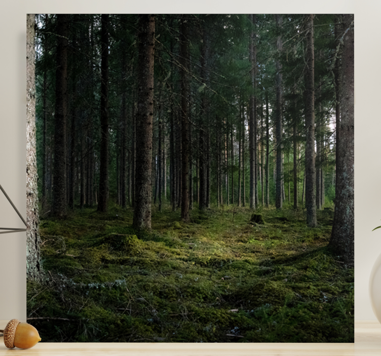 "Nature" trees in the forest Tree wall canvas - TenStickers