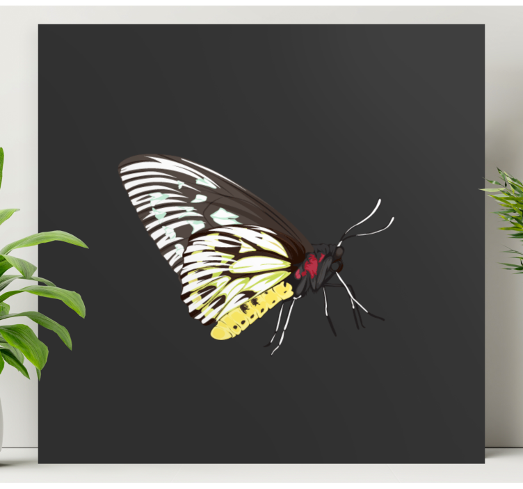 Realistic yellow butterfly canvas wall art - TenStickers