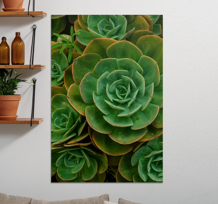 Succulent Plant Close-Up Flowers  canvas - TenStickers