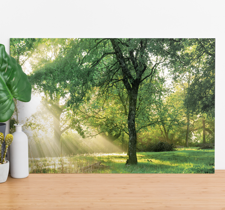 Tree canvas wall art sunlight through trees - TenStickers