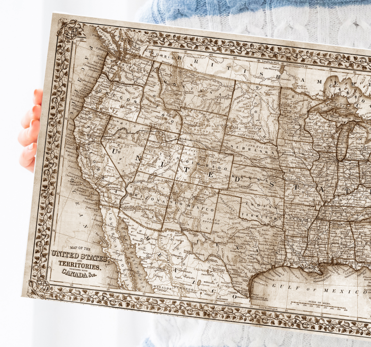 Vintage North America  world map canvas - TenStickers