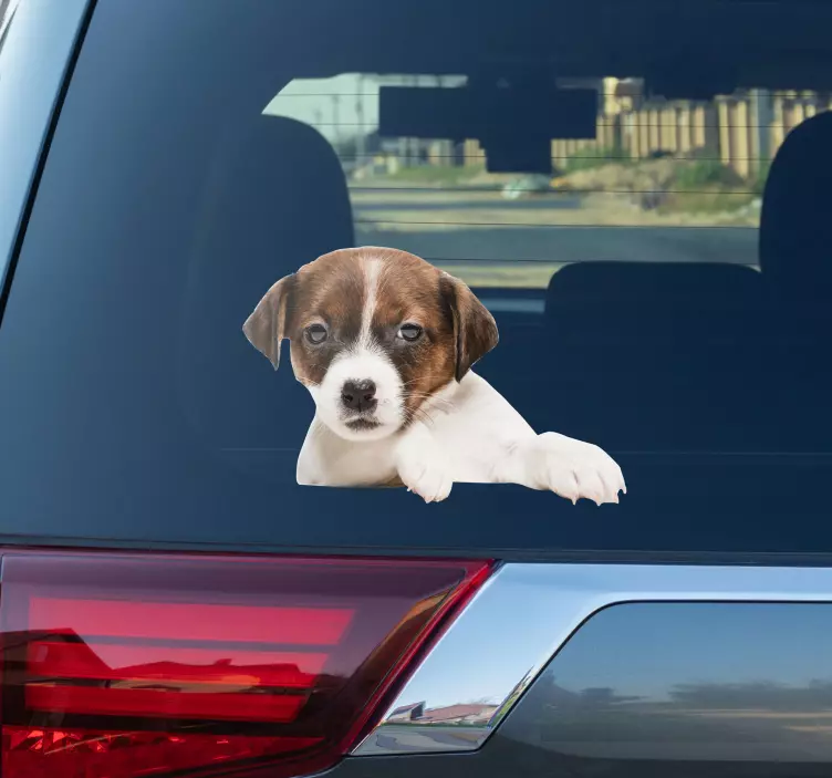 A dog peeking cat sticker - TenStickers