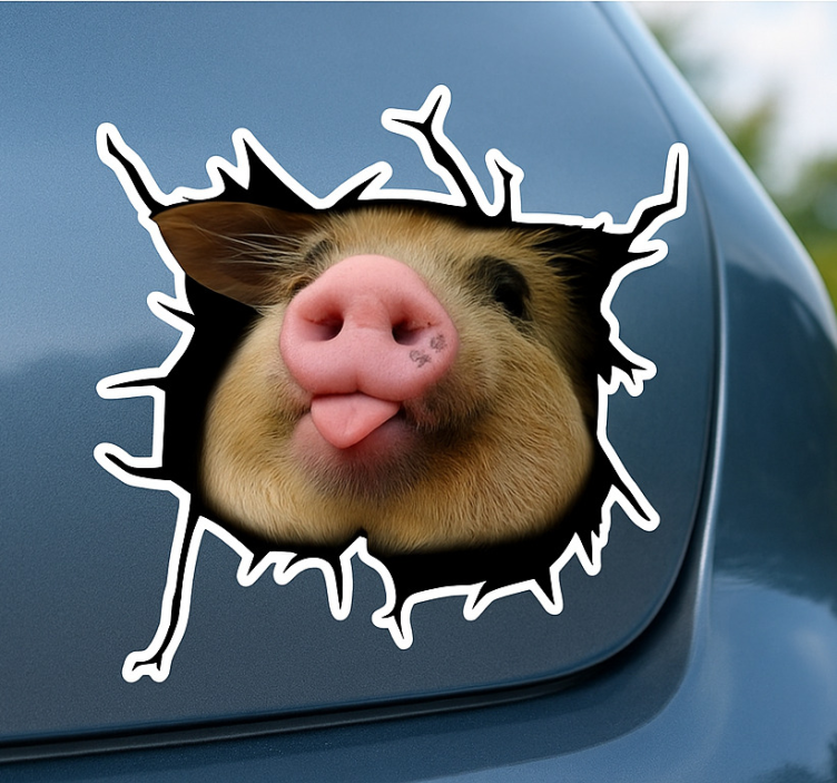 Funny Pig 3D Crack car sticker - TenStickers