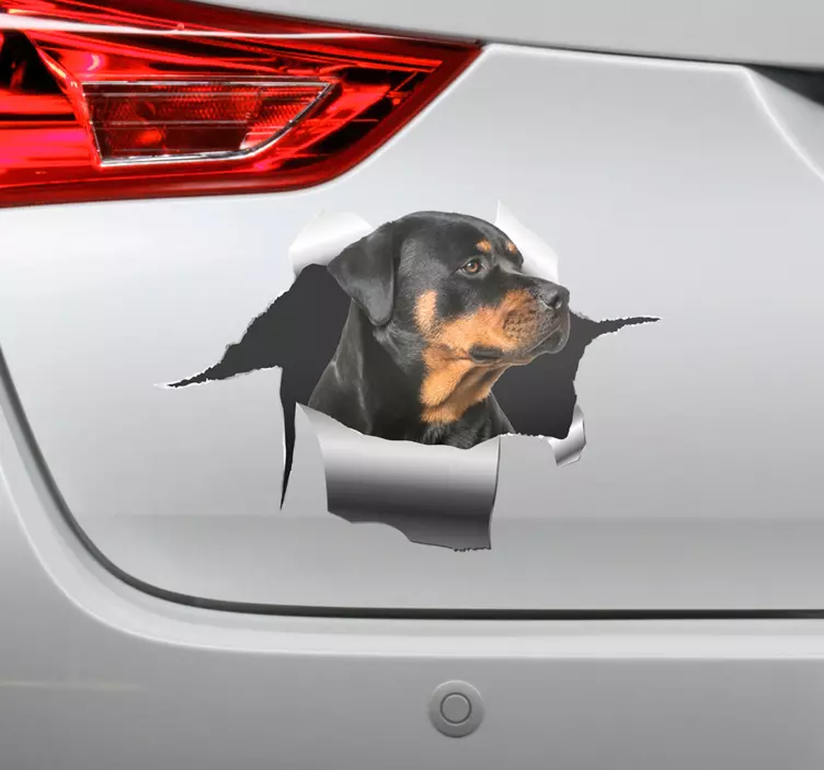 Rottweiller hole sticker pet sticker - TenStickers