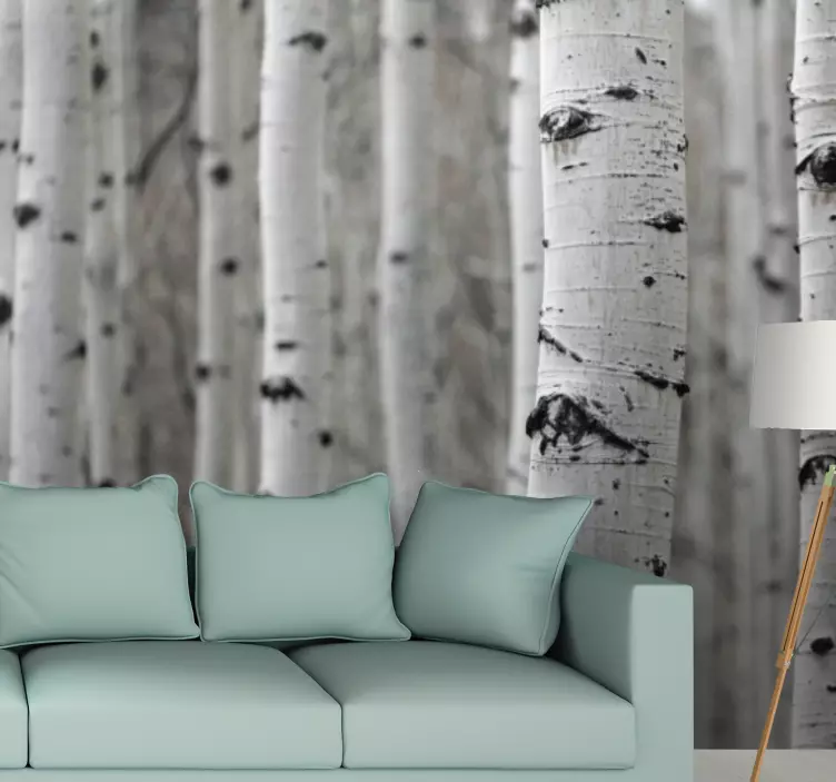 White birch tree forest vinyl print sticker - TenStickers