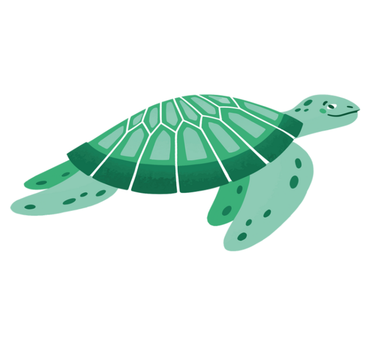 Playful turtle art animal vinyl rug - TenStickers