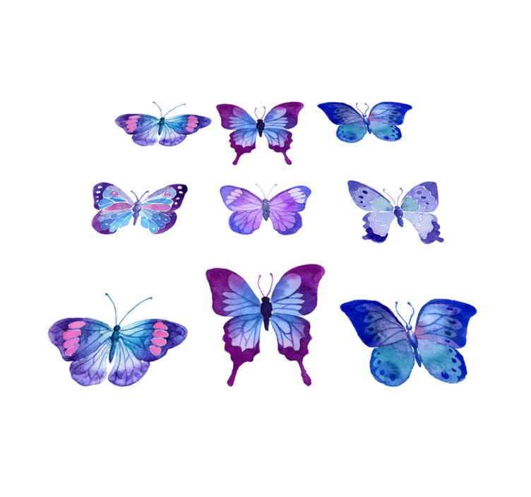 Lively butterfly illustrations animal vinyl rug - TenStickers