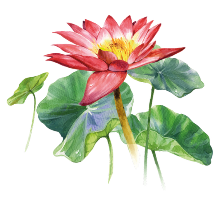 Bedroom vinyl rug lotus watercolor illusion - TenStickers