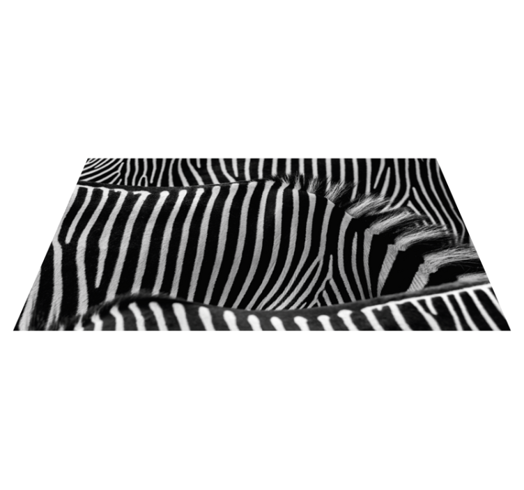 Zebra skin animal print vinyl rug - TenStickers