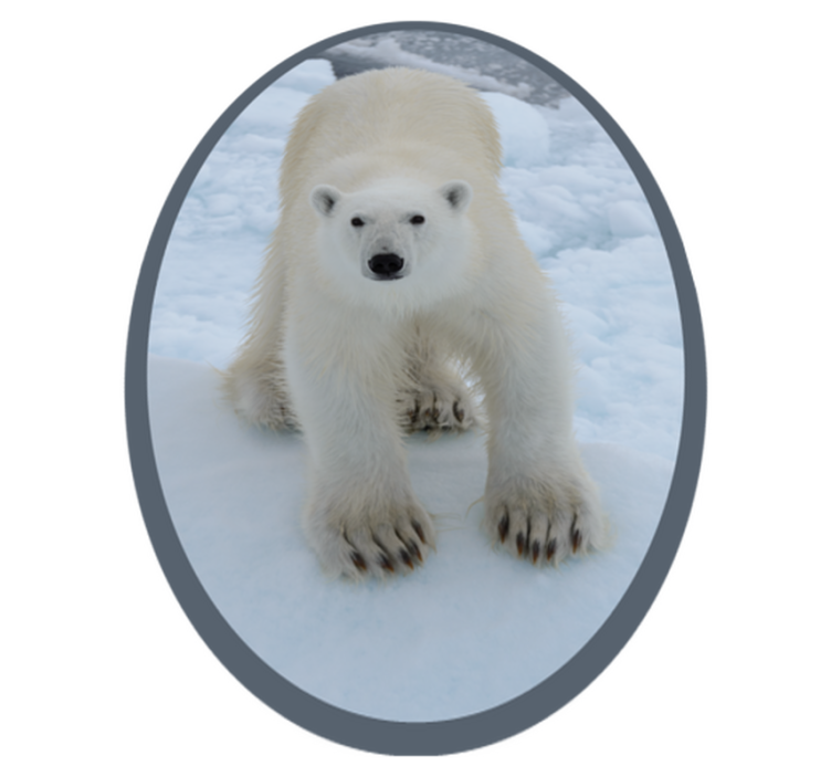 Polar bear image animal vinyl rug - TenStickers