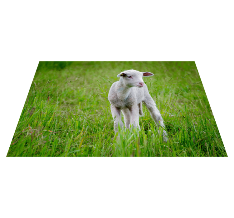 Animal cute lamb animal rug - TenStickers